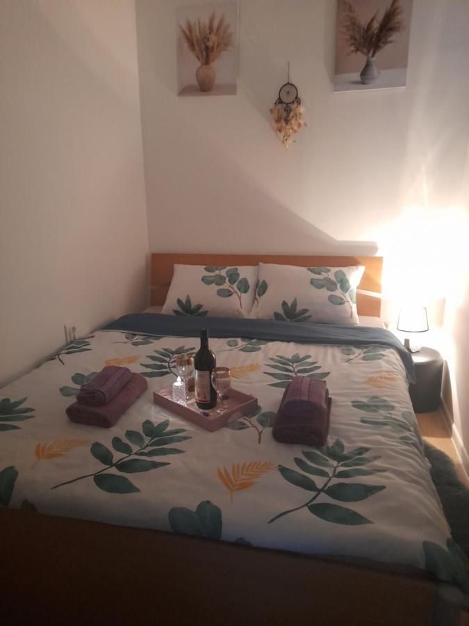 Apartman Lela Вършац Екстериор снимка